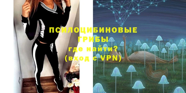 мет Аркадак