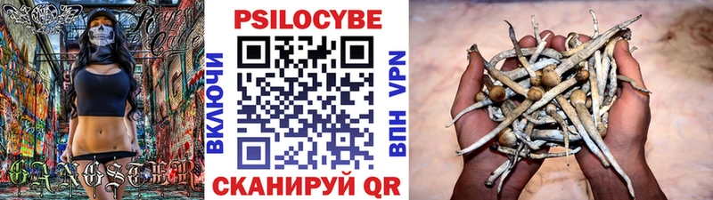 Псилоцибиновые грибы Magic Shrooms Минусинск