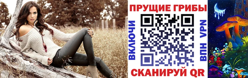 Псилоцибиновые грибы мухоморы  магазин продажи   Минусинск 